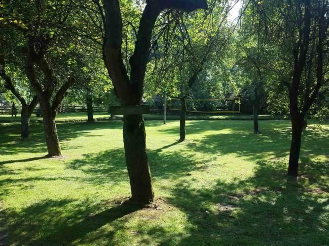 Kamp na Otoku Hotel Ljubno Bagian luar foto