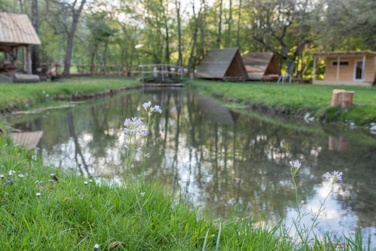Kamp na Otoku Hotel Ljubno Bagian luar foto